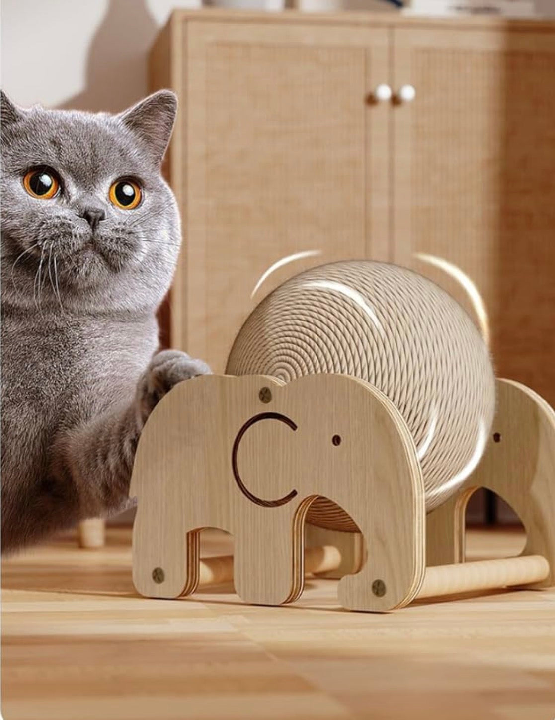 ローリングトイ